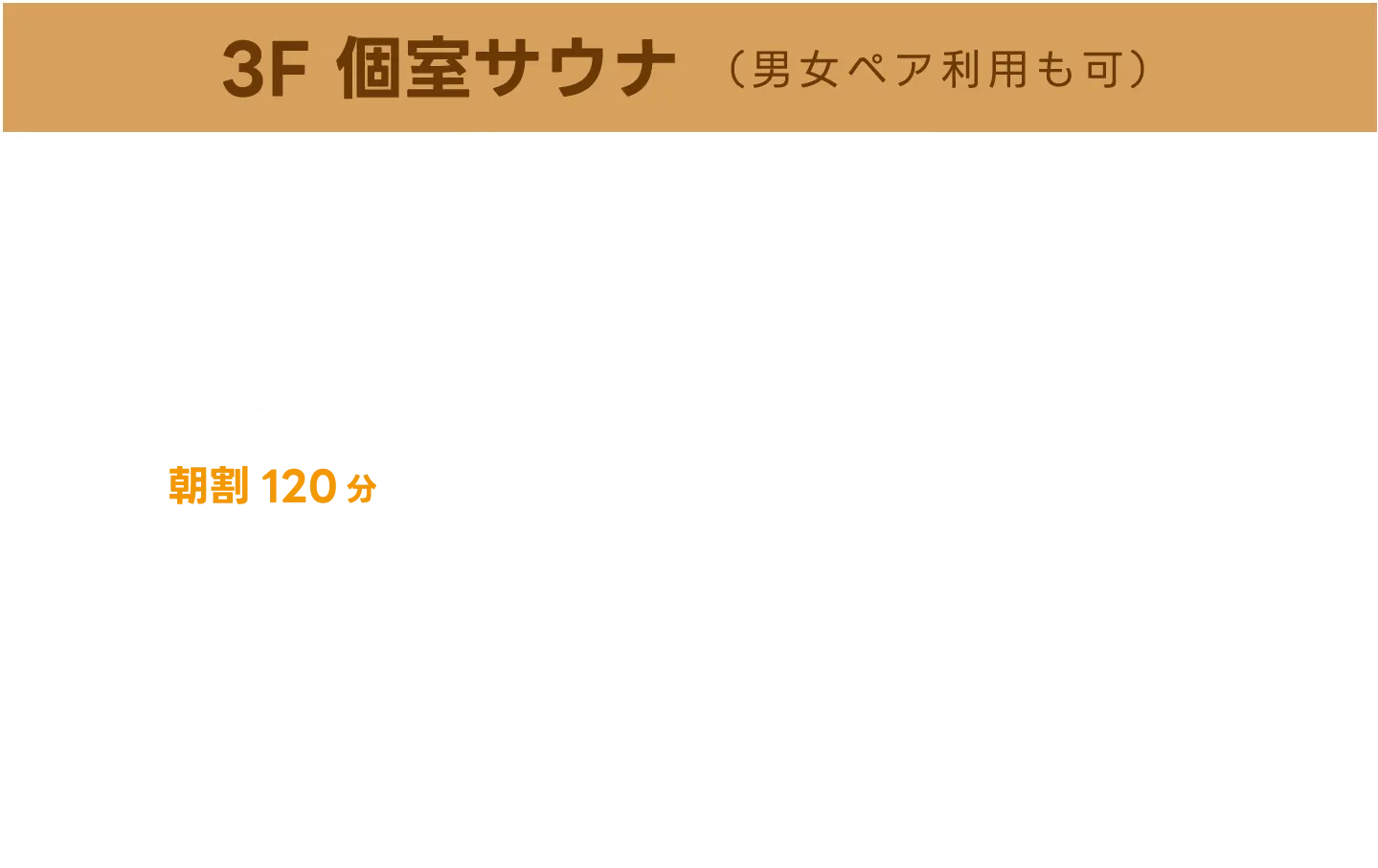 3F 個室サウナ（男女ペア利用可）