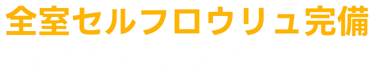 全室セルフロウリュ完備、蒸気で体感温度を調整