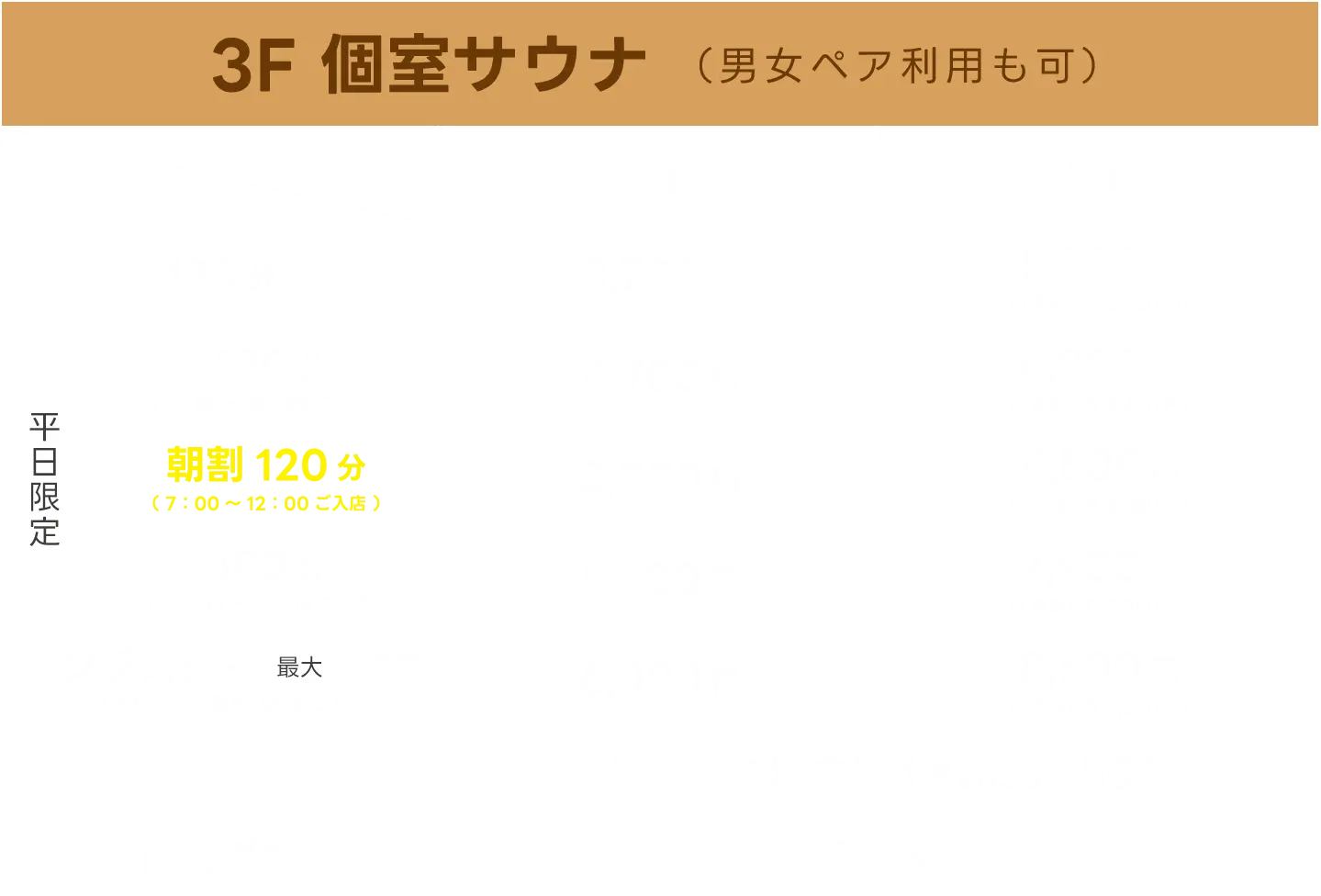 3F 個室サウナ（男女ペア利用可）